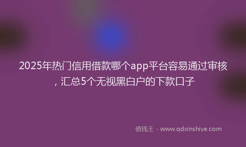 2025年热门信用借款哪个app平台容易通过审核，汇总5个无视黑白户的下款口子