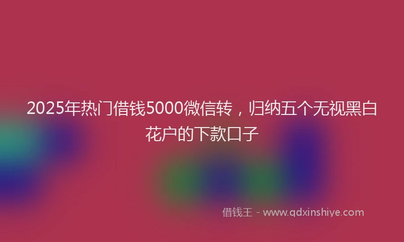 2025年热门借钱5000微信转，归纳五个无视黑白花户的下款口子