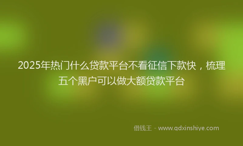2025年热门什么贷款平台不看征信下款快，梳理五个黑户可以做大额贷款平台