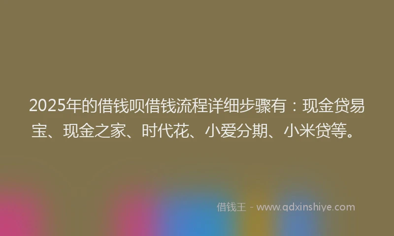 2025年的借钱呗借钱流程详细步骤有：现金贷易宝、现金之家、时代花、小爱分期、小米贷等。