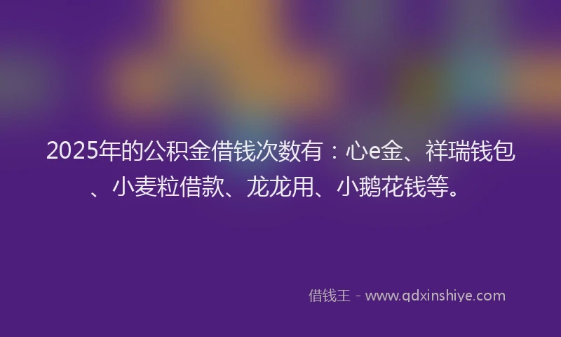 2025年的公积金借钱次数有：心e金、祥瑞钱包、小麦粒借款、龙龙用、小鹅花钱等。