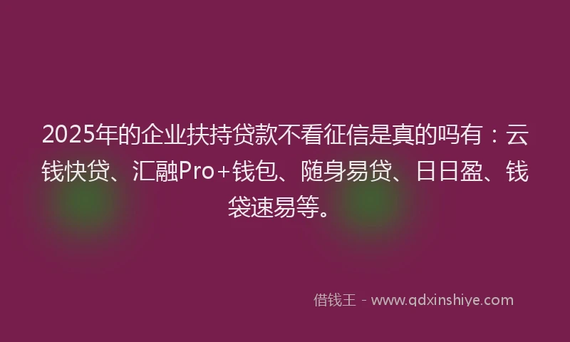 2025年的企业扶持贷款不看征信是真的吗有：云钱快贷、汇融Pro+钱包、随身易贷、日日盈、钱袋速易等。