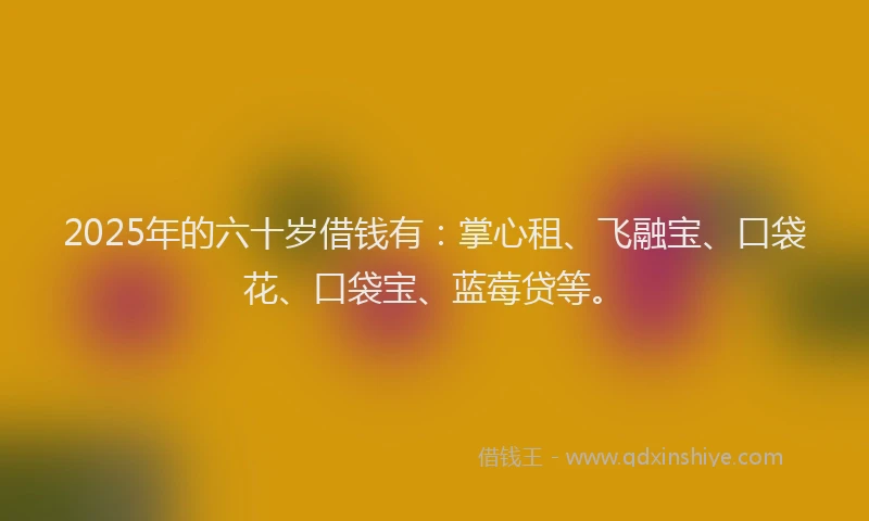 2025年的六十岁借钱有：掌心租、飞融宝、口袋花、口袋宝、蓝莓贷等。