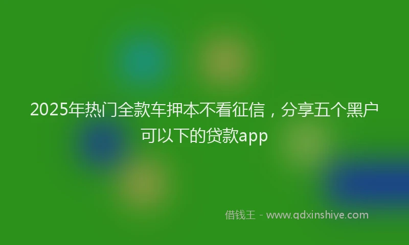 2025年热门全款车押本不看征信，分享五个黑户可以下的贷款app