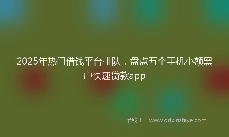 2025年热门借钱平台排队，盘点五个手机小额黑户快速贷款app