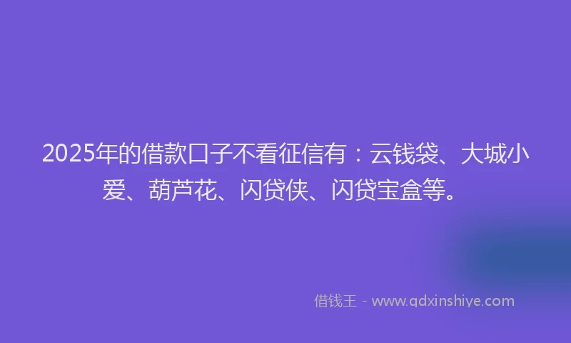 2025年的借款口子不看征信有：云钱袋、大城小爱、葫芦花、闪贷侠、闪贷宝盒等。