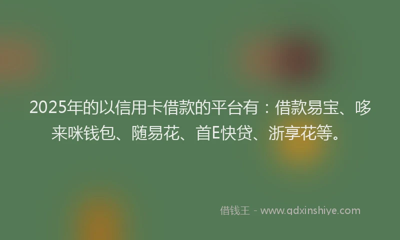 2025年的以信用卡借款的平台有：借款易宝、哆来咪钱包、随易花、首E快贷、浙享花等。