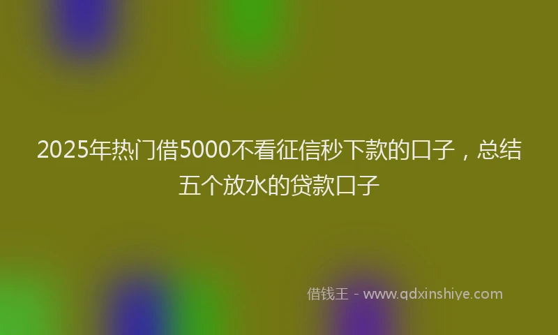 2025年热门借5000不看征信秒下款的口子，总结五个放水的贷款口子