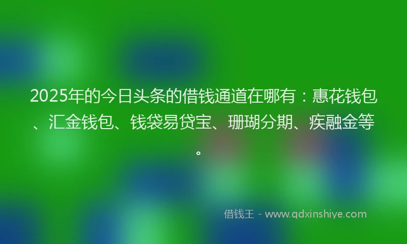 2025年的今日头条的借钱通道在哪有：惠花钱包、汇金钱包、钱袋易贷宝、珊瑚分期、疾融金等。