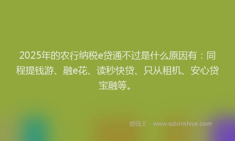 2025年的农行纳税e贷通不过是什么原因有：同程提钱游、融e花、读秒快贷、只从租机、安心贷宝融等。