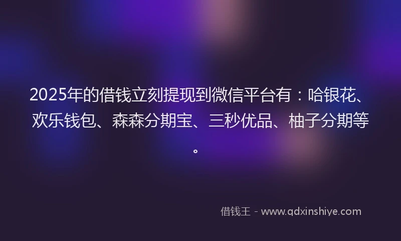 2025年的借钱立刻提现到微信平台有：哈银花、欢乐钱包、森森分期宝、三秒优品、柚子分期等。