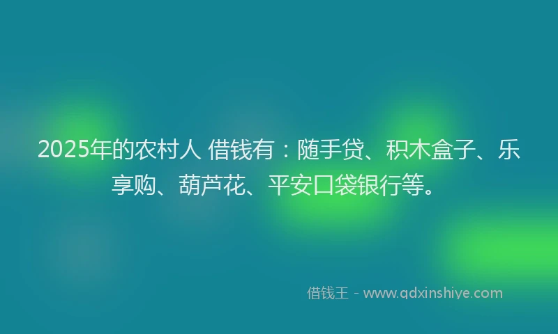 2025年的农村人 借钱有：随手贷、积木盒子、乐享购、葫芦花、平安口袋银行等。