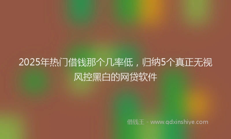 2025年热门借钱那个几率低，归纳5个真正无视风控黑白的网贷软件