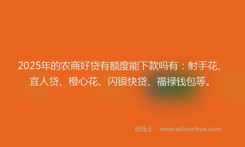 2025年的农商好贷有额度能下款吗有：射手花、宜人贷、橙心花、闪银快贷、福禄钱包等。