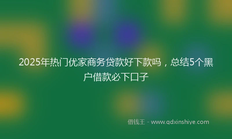 2025年热门优家商务贷款好下款吗，总结5个黑户借款必下口子