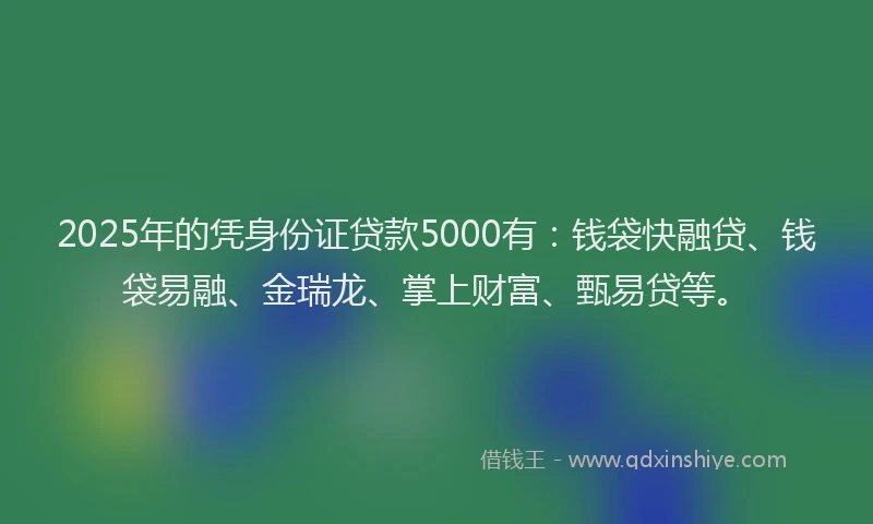 2025年的凭身份证贷款5000有：钱袋快融贷、钱袋易融、金瑞龙、掌上财富、甄易贷等。