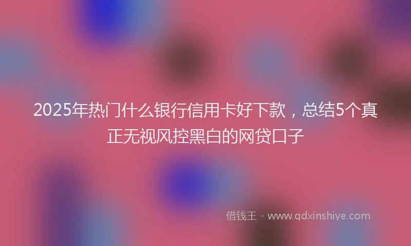 2025年热门什么银行信用卡好下款，总结5个真正无视风控黑白的网贷口子
