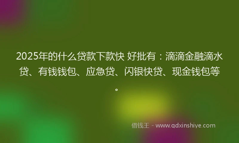 2025年的什么贷款下款快 好批有：滴滴金融滴水贷、有钱钱包、应急贷、闪银快贷、现金钱包等。