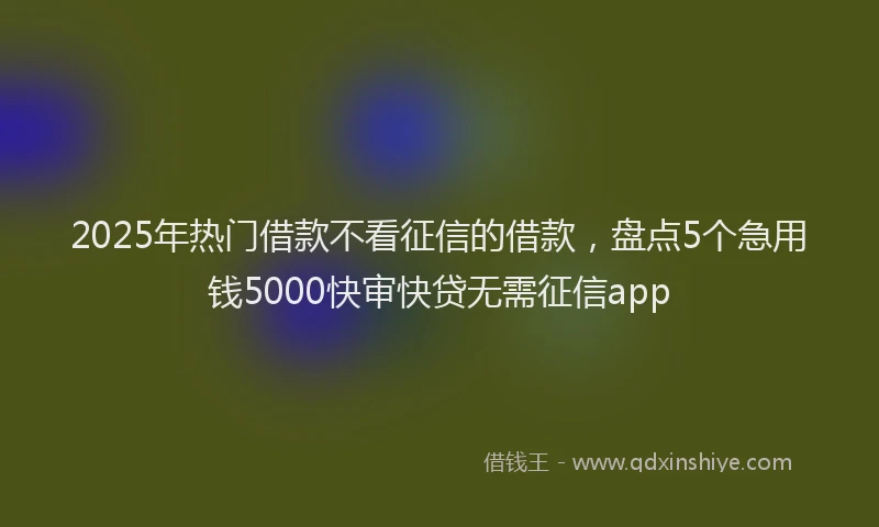 2025年热门借款不看征信的借款，盘点5个急用钱5000快审快贷无需征信app