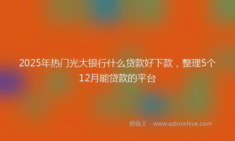 2025年热门光大银行什么贷款好下款，整理5个12月能贷款的平台