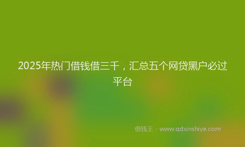 2025年热门借钱借三千，汇总五个网贷黑户必过平台