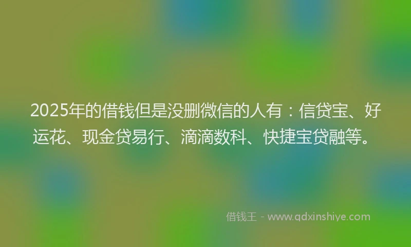 2025年的借钱但是没删微信的人有：信贷宝、好运花、现金贷易行、滴滴数科、快捷宝贷融等。