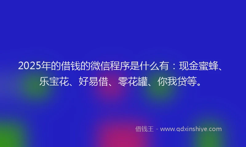 2025年的借钱的微信程序是什么有：现金蜜蜂、乐宝花、好易借、零花罐、你我贷等。