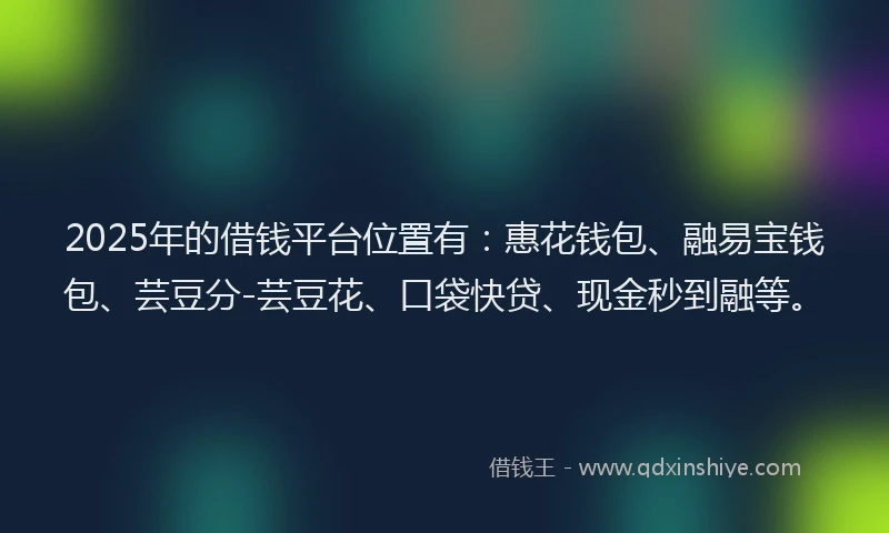 2025年的借钱平台位置有：惠花钱包、融易宝钱包、芸豆分-芸豆花、口袋快贷、现金秒到融等。