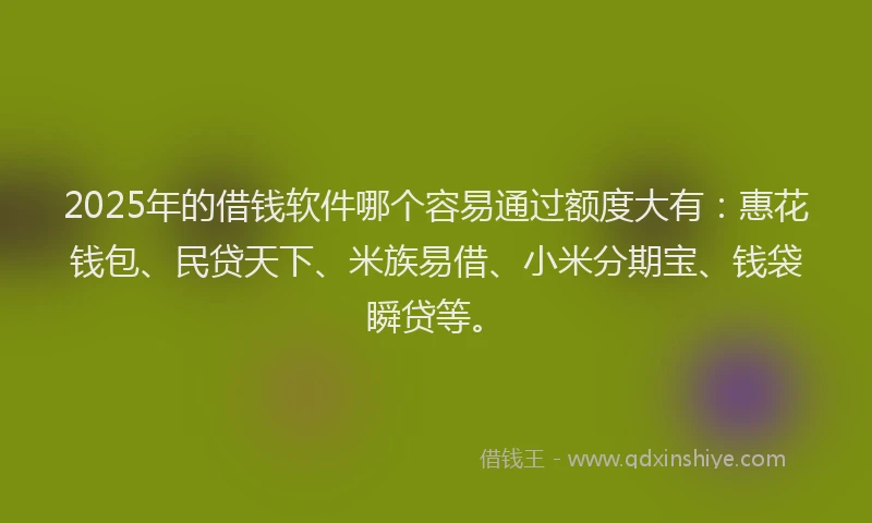 2025年的借钱软件哪个容易通过额度大有：惠花钱包、民贷天下、米族易借、小米分期宝、钱袋瞬贷等。
