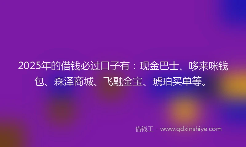 2025年的借钱必过口子有：现金巴士、哆来咪钱包、森泽商城、飞融金宝、琥珀买单等。