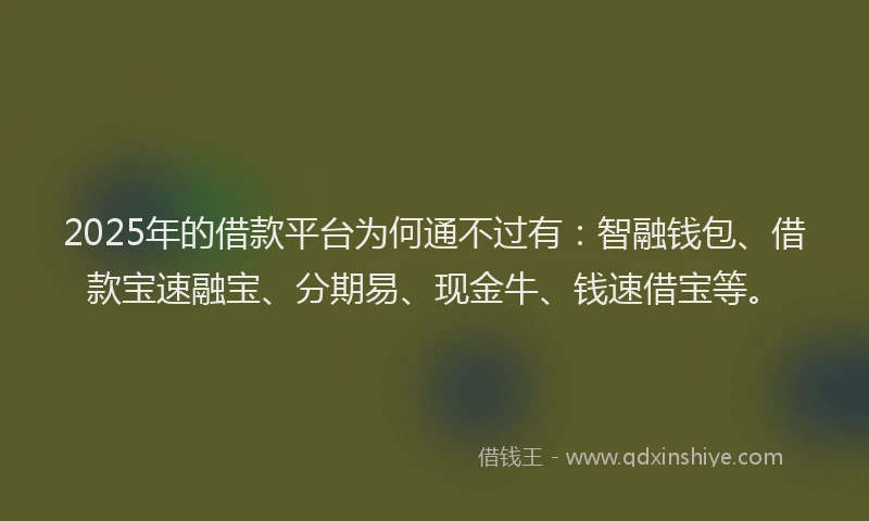 2025年的借款平台为何通不过有：智融钱包、借款宝速融宝、分期易、现金牛、钱速借宝等。
