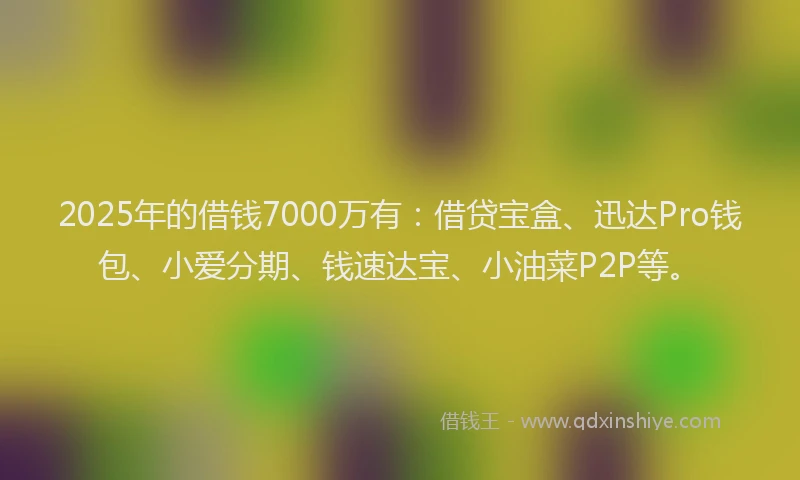 2025年的借钱7000万有：借贷宝盒、迅达Pro钱包、小爱分期、钱速达宝、小油菜P2P等。