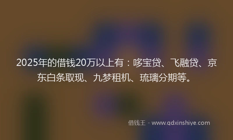 2025年的借钱20万以上有：哆宝贷、飞融贷、京东白条取现、九梦租机、琉璃分期等。