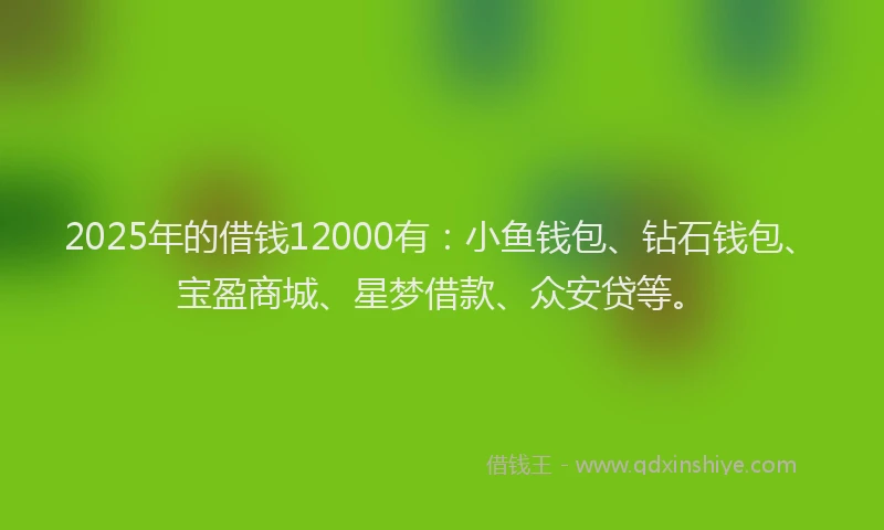 2025年的借钱12000有：小鱼钱包、钻石钱包、宝盈商城、星梦借款、众安贷等。