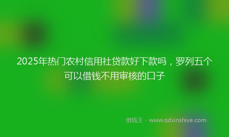 2025年热门农村信用社贷款好下款吗，罗列五个可以借钱不用审核的口子