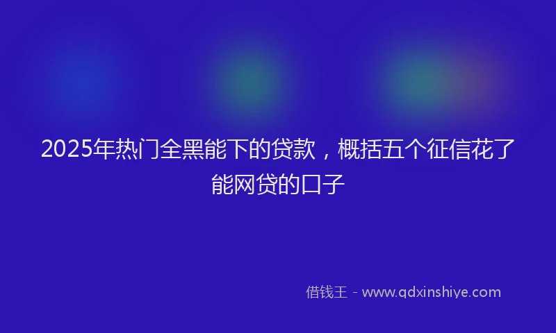 2025年热门全黑能下的贷款，概括五个征信花了能网贷的口子
