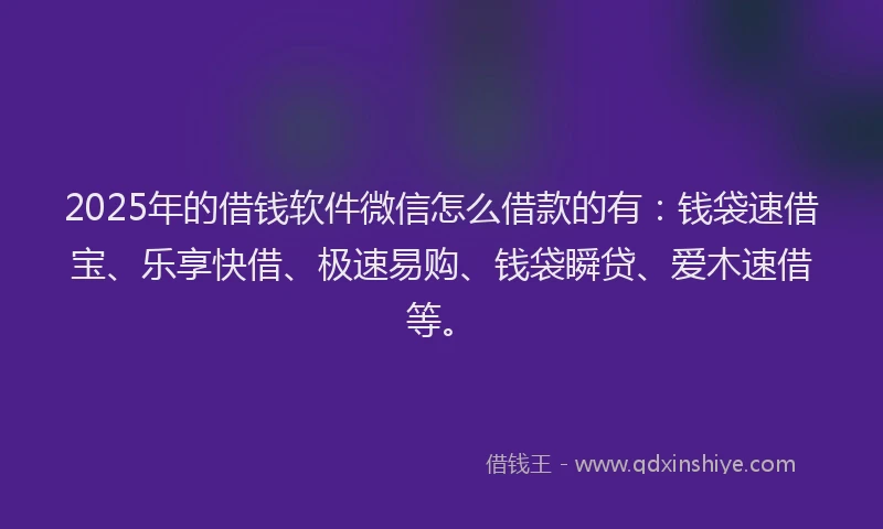 2025年的借钱软件微信怎么借款的有：钱袋速借宝、乐享快借、极速易购、钱袋瞬贷、爱木速借等。