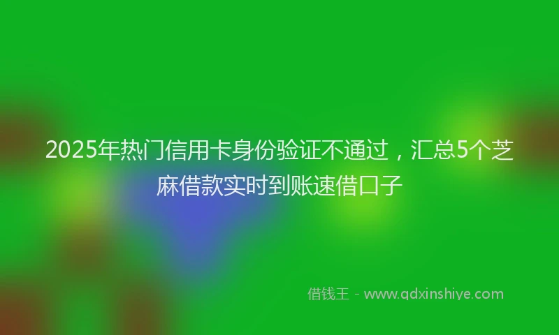 2025年热门信用卡身份验证不通过，汇总5个芝麻借款实时到账速借口子