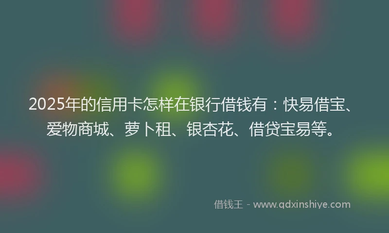 2025年的信用卡怎样在银行借钱有：快易借宝、爱物商城、萝卜租、银杏花、借贷宝易等。