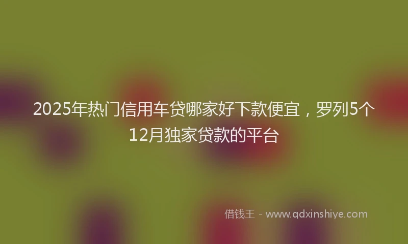 2025年热门信用车贷哪家好下款便宜，罗列5个12月独家贷款的平台