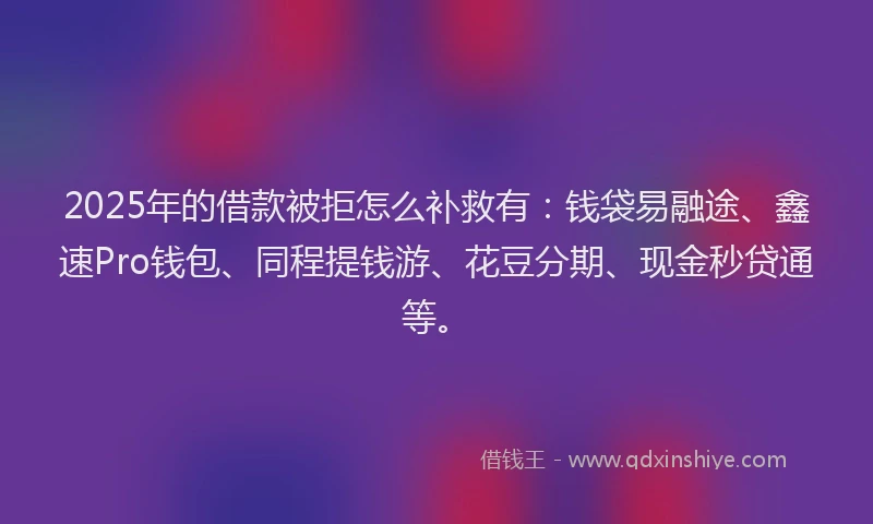 2025年的借款被拒怎么补救有：钱袋易融途、鑫速Pro钱包、同程提钱游、花豆分期、现金秒贷通等。