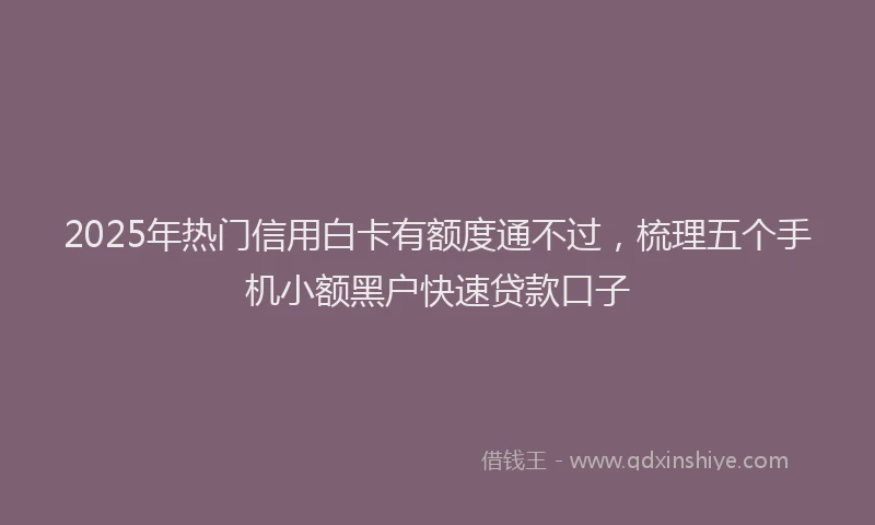 2025年热门信用白卡有额度通不过，梳理五个手机小额黑户快速贷款口子