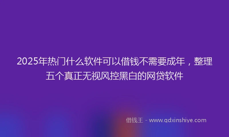 2025年热门什么软件可以借钱不需要成年，整理五个真正无视风控黑白的网贷软件
