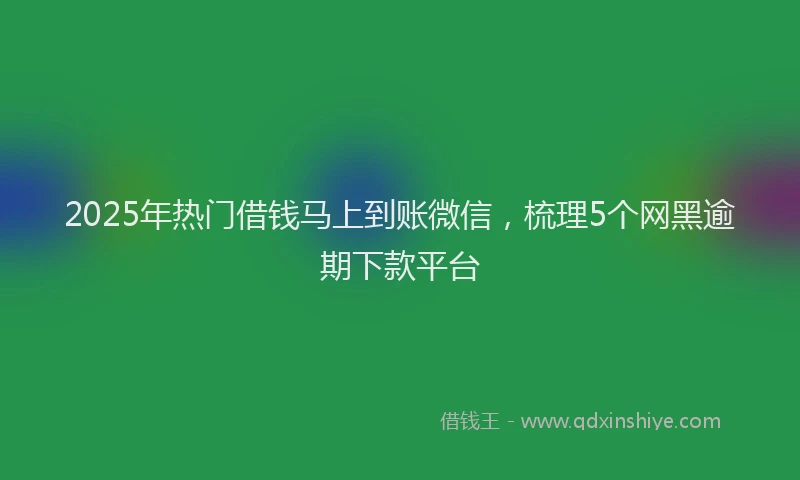 2025年热门借钱马上到账微信，梳理5个网黑逾期下款平台