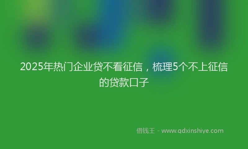 2025年热门企业贷不看征信，梳理5个不上征信的贷款口子