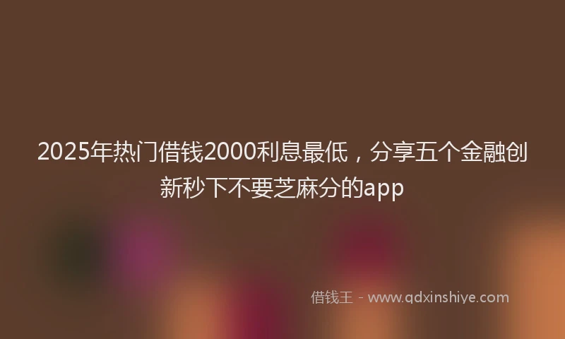 2025年热门借钱2000利息最低，分享五个金融创新秒下不要芝麻分的app