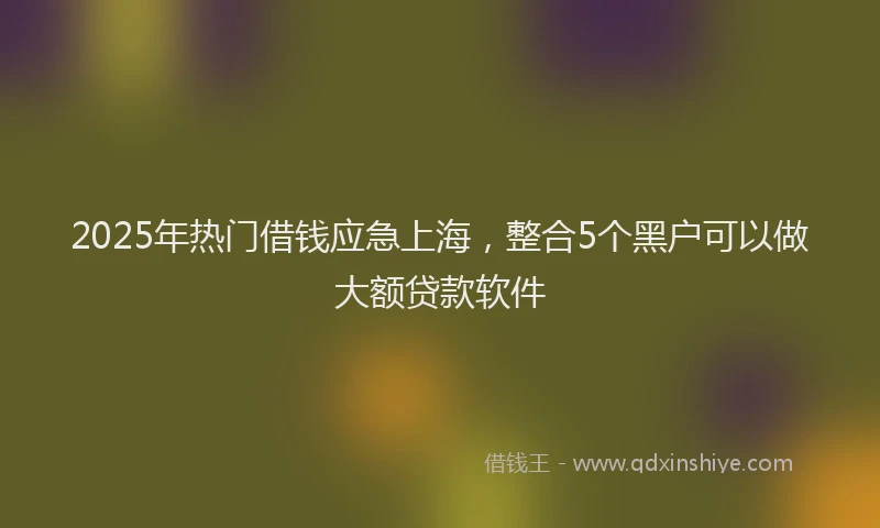 2025年热门借钱应急上海，整合5个黑户可以做大额贷款软件
