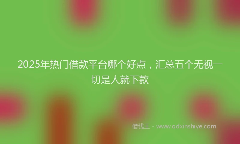 2025年热门借款平台哪个好点，汇总五个无视一切是人就下款