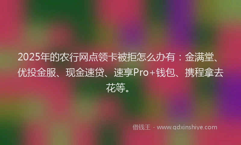 2025年的农行网点领卡被拒怎么办有：金满堂、优投金服、现金速贷、速享Pro+钱包、携程拿去花等。