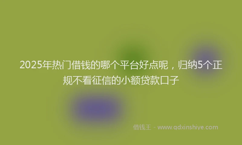 2025年热门借钱的哪个平台好点呢，归纳5个正规不看征信的小额贷款口子